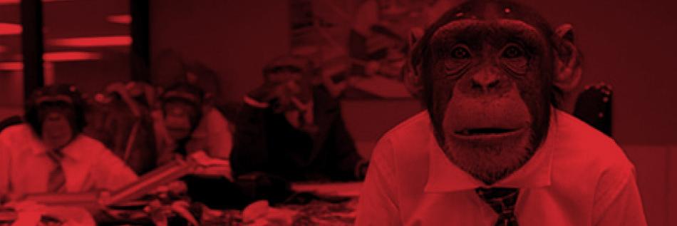 imonkeys's profile banner image