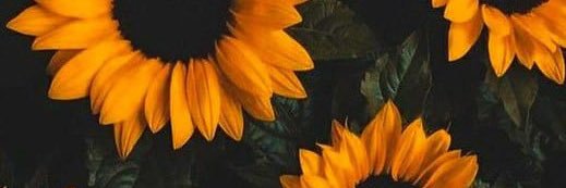 thelittlestsuza's profile banner image