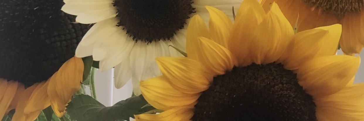 ✨Ashley✨ banner