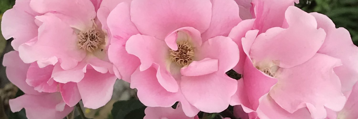 crizti_12's profile banner image
