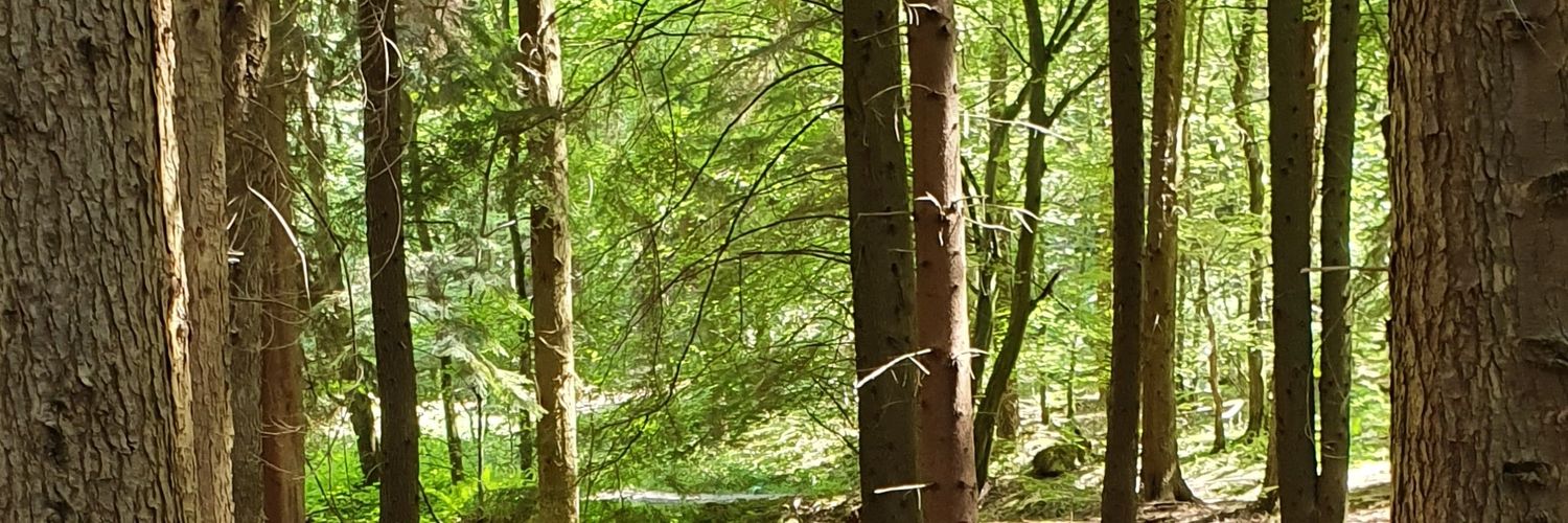Juliet Eve banner
