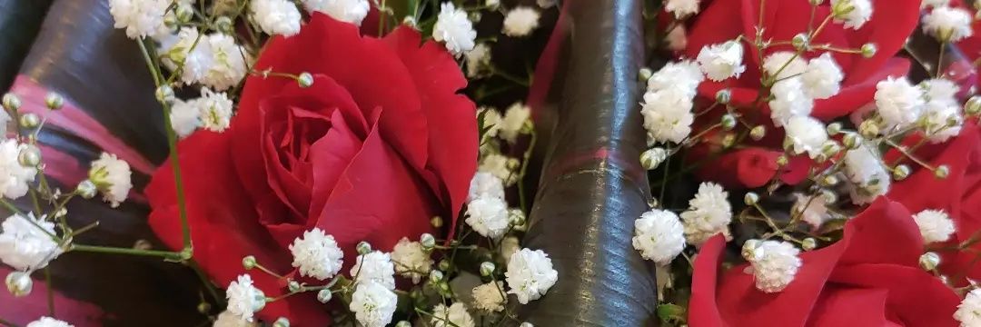 ramiRoots_'s profile banner image
