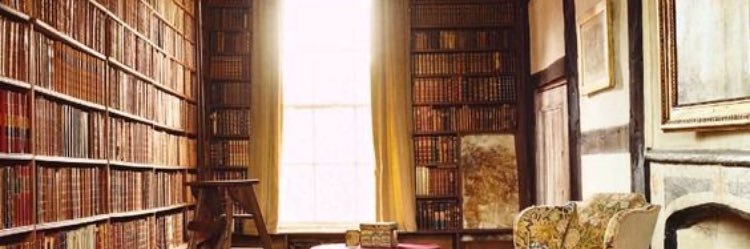 halopezl's profile banner image