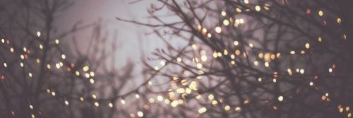 Mariana banner