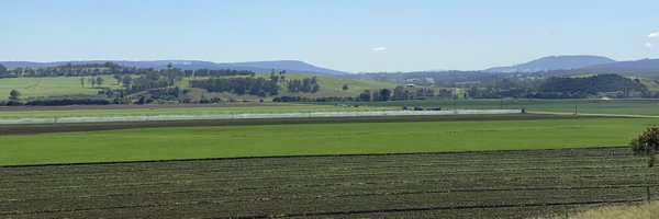 PaulCrack Profile Banner