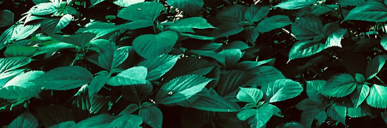 mandtXO's profile banner image