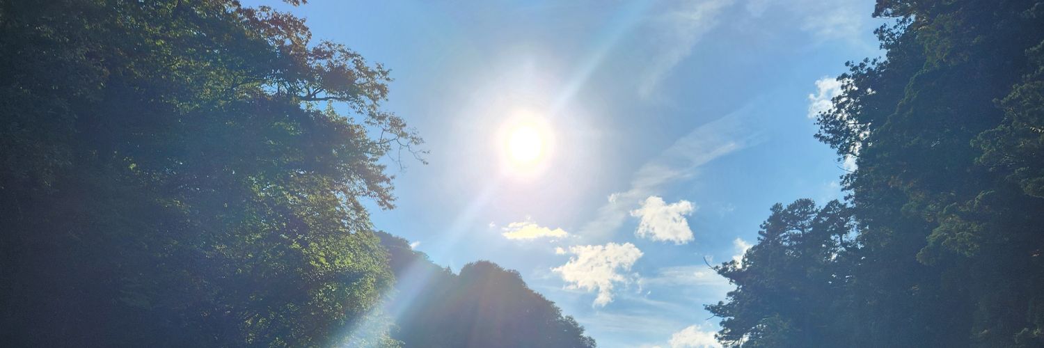 anton_229's profile banner image