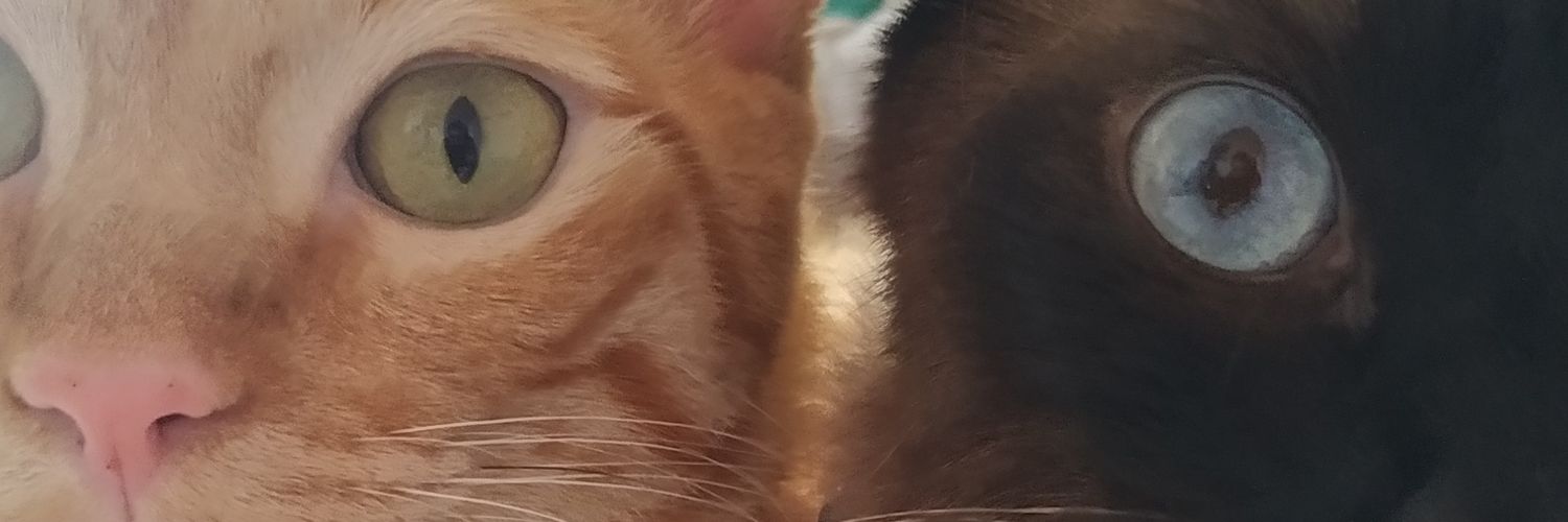 Bernassis's profile banner image