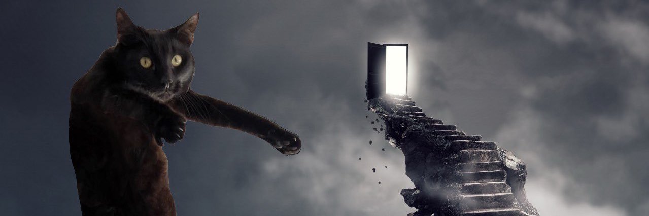 pr0tegy's profile banner image