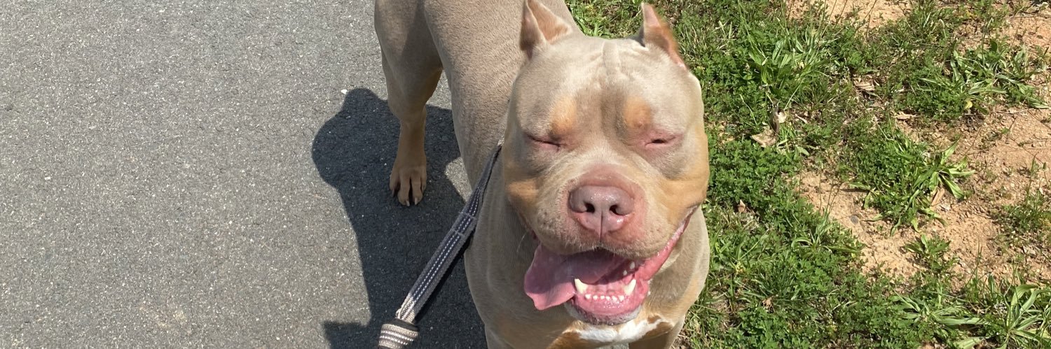 Dominique Dillingham banner