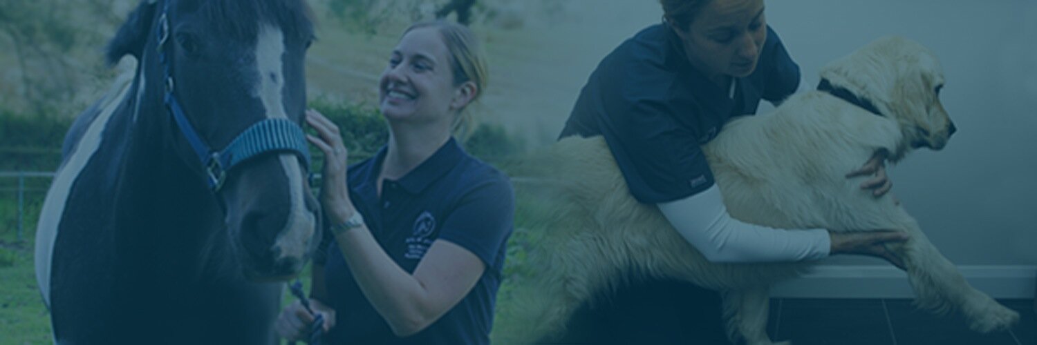 HelenVetPhysio's profile banner image