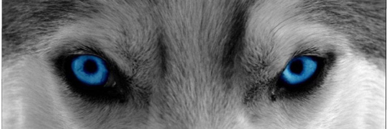 LMaxJR's profile banner image