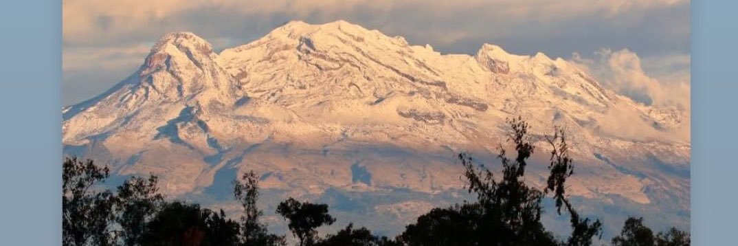 Lizallo con Zeta banner