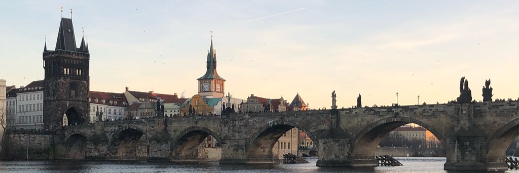 erincardinal's profile banner image