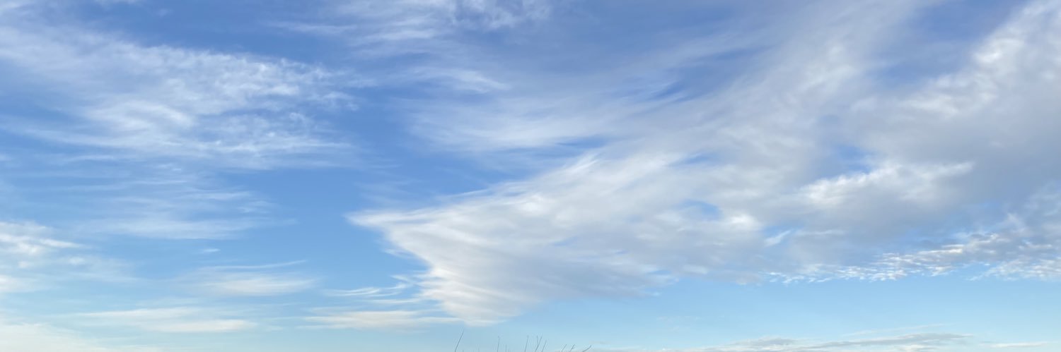vejarhobbit's profile banner image