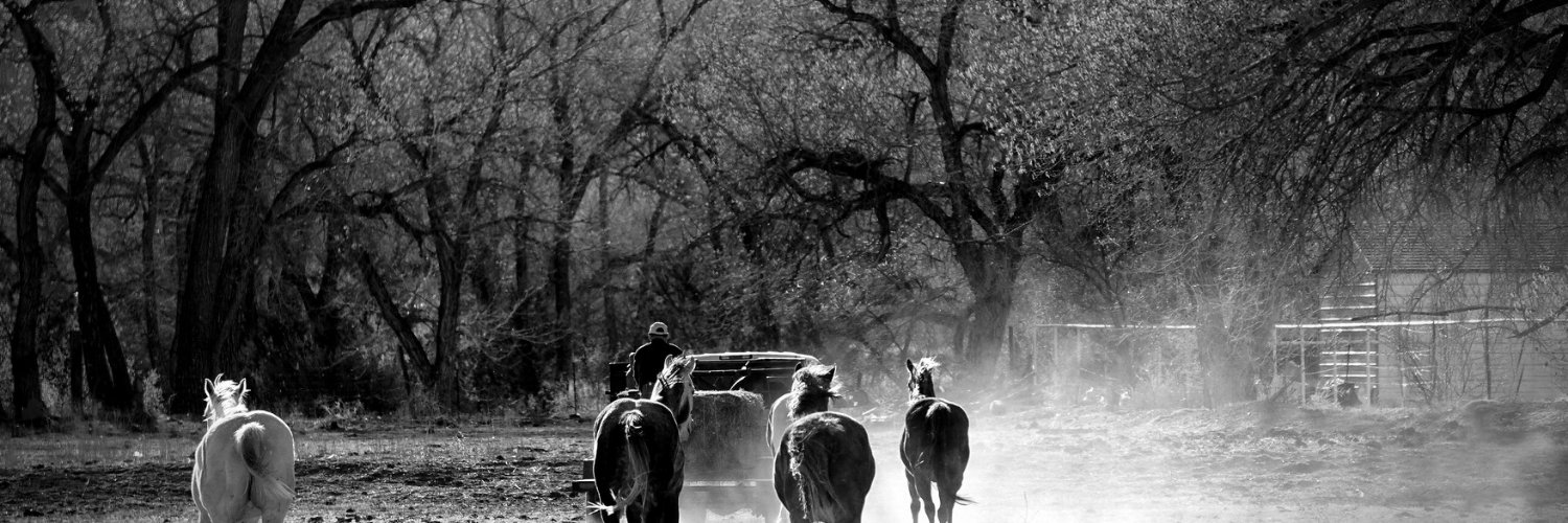 Rio Grande SUN banner