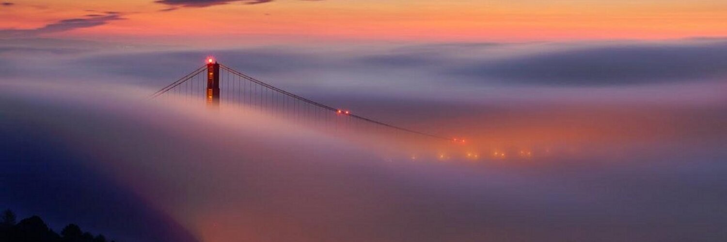 Roderick Bauer banner