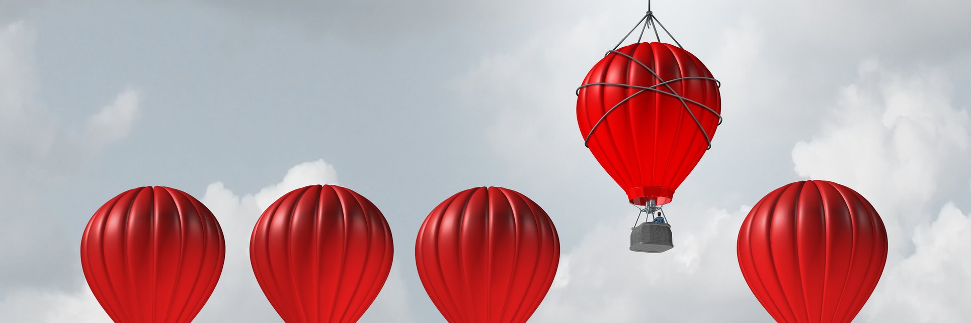 María Luisa Paradinas ITSN banner