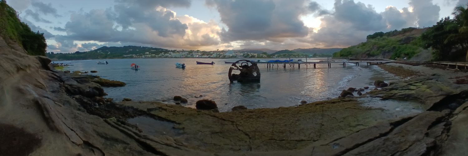 ορθορεξική banner