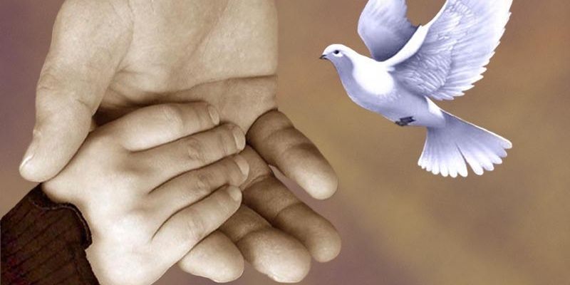 LpLusia's profile banner image