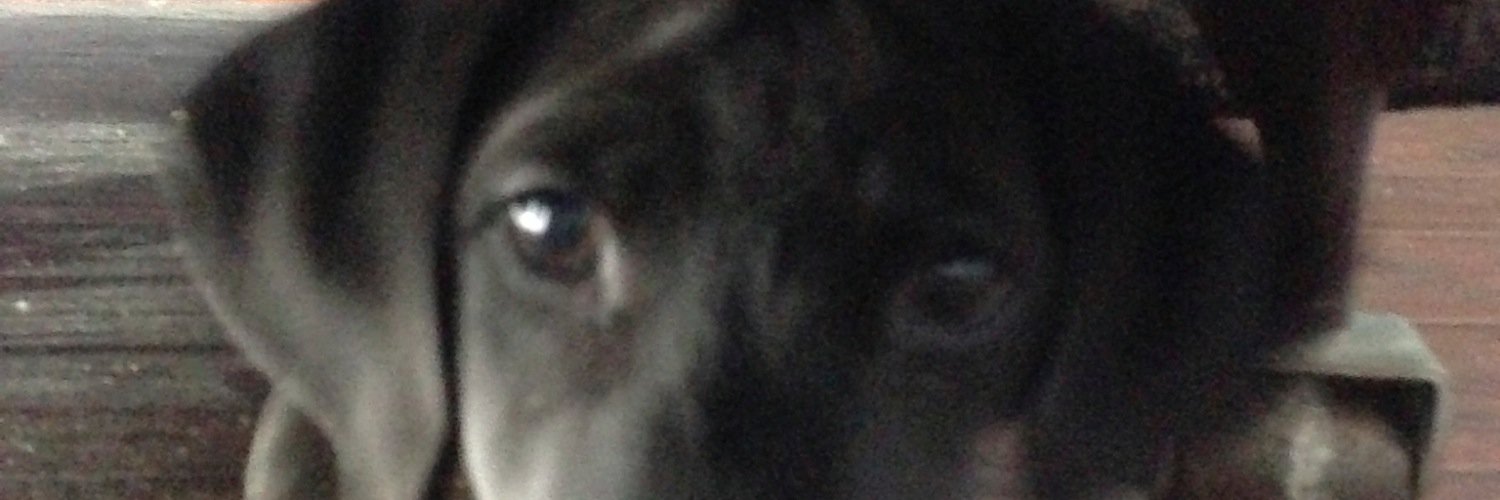gretchenamiller's profile banner image