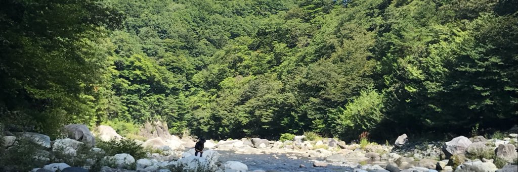 tk1009007's profile banner image