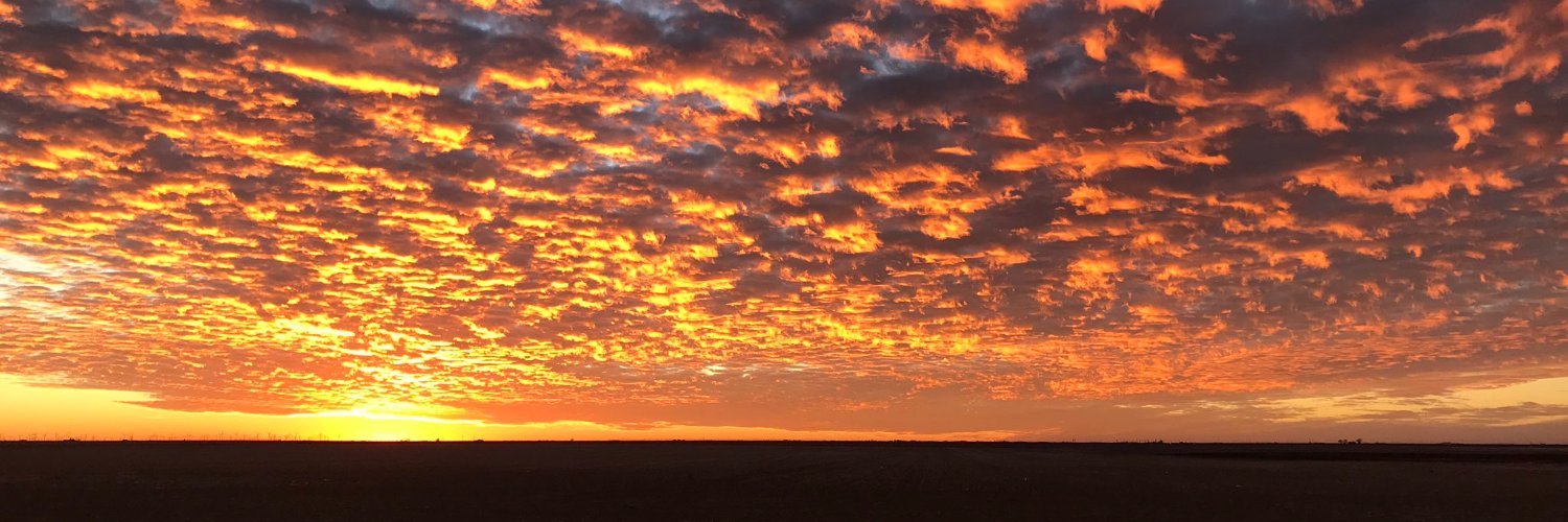 Alex Driggars banner