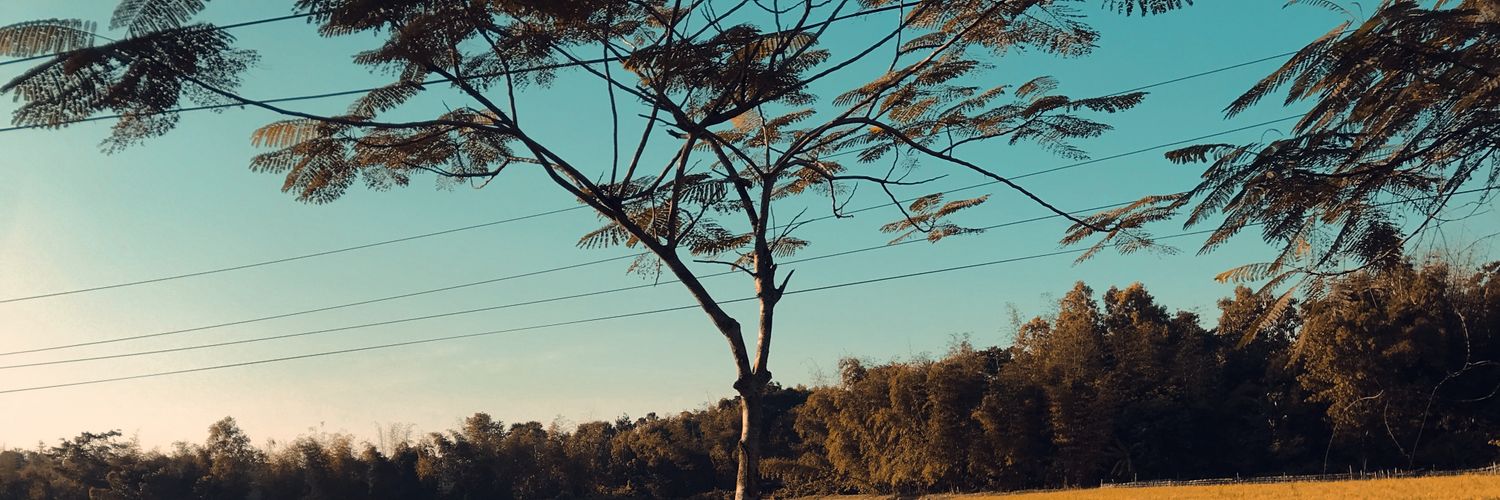 Tony Marma banner