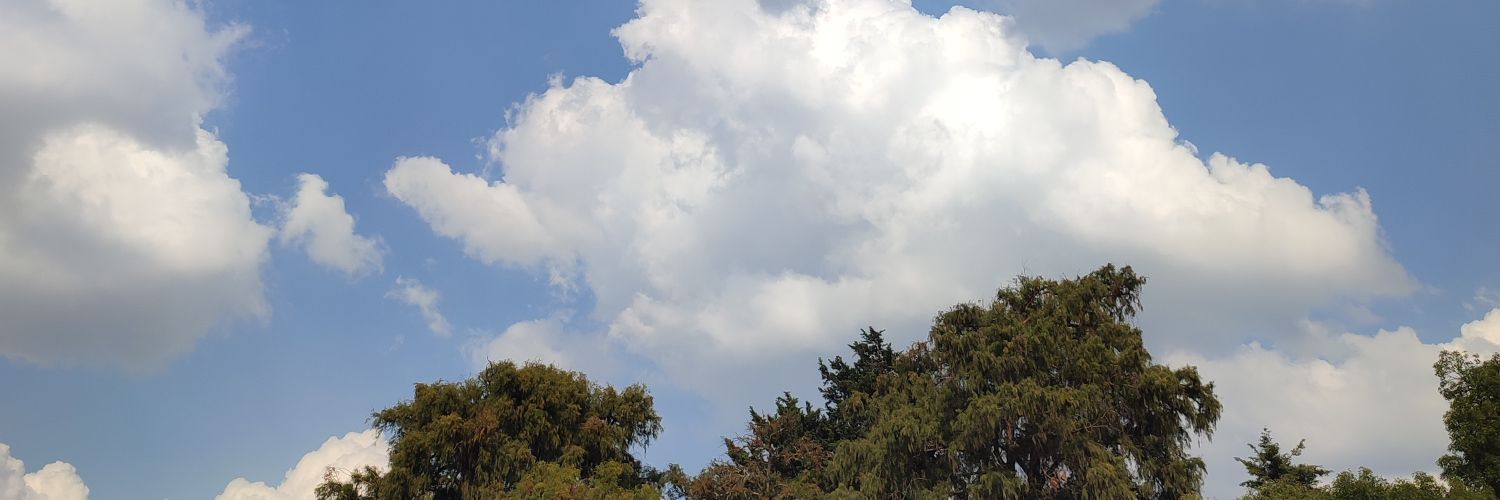 lulucit_a's profile banner image
