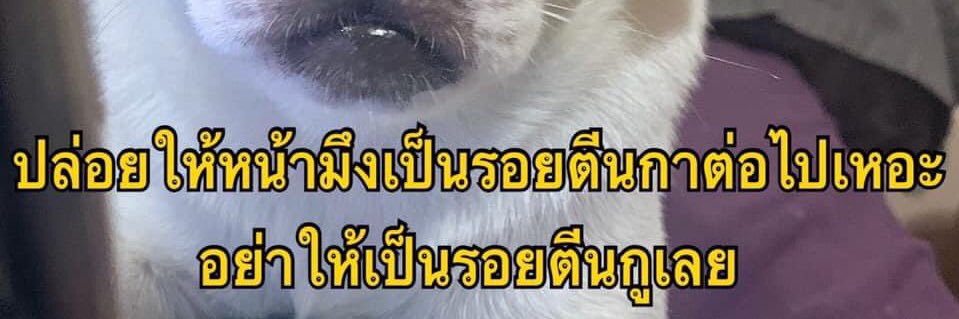 𝑺𝑻𝑶𝑹𝑴 🌪|| Rest. banner