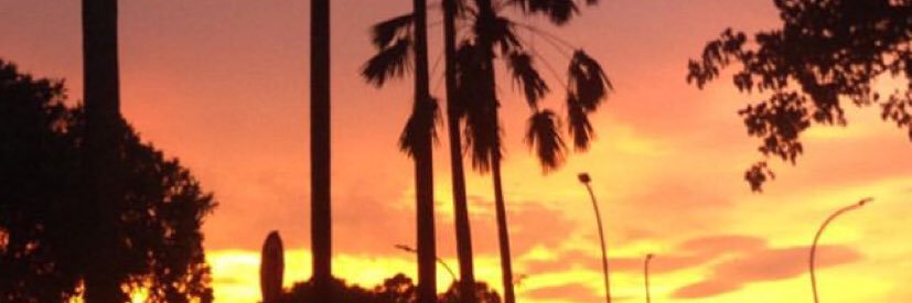 RRedhamutia's profile banner image