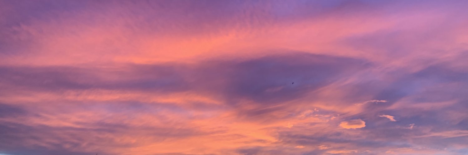 lydiamaruu's profile banner image