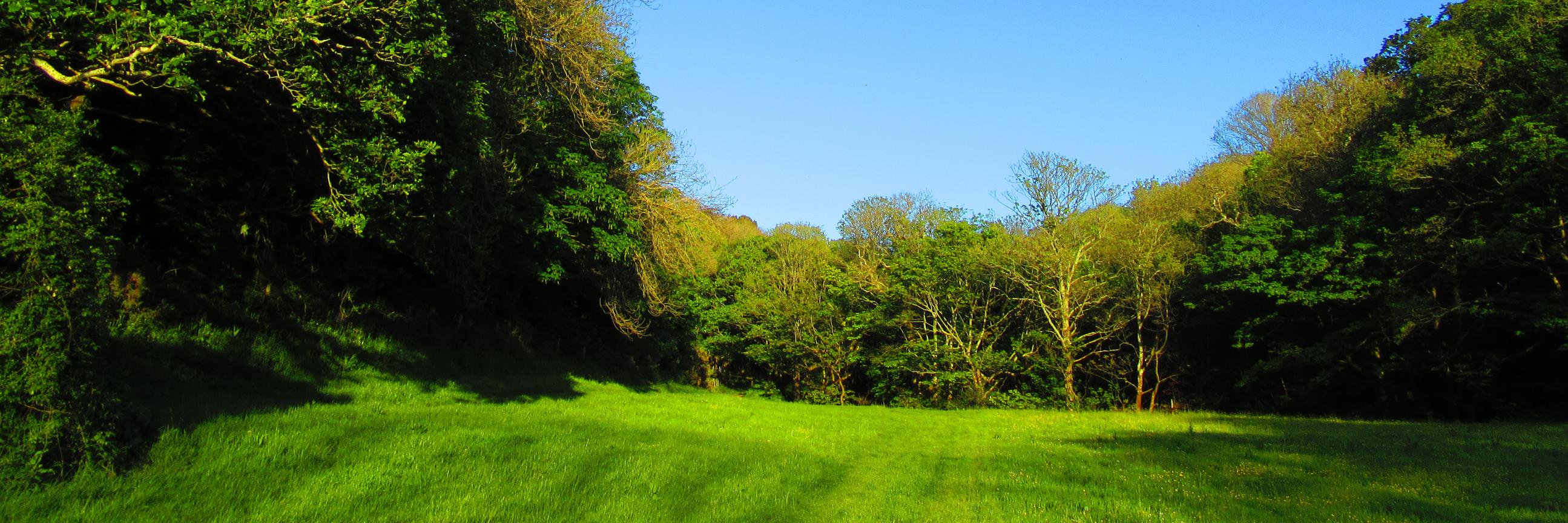 Mineshop Cottages banner