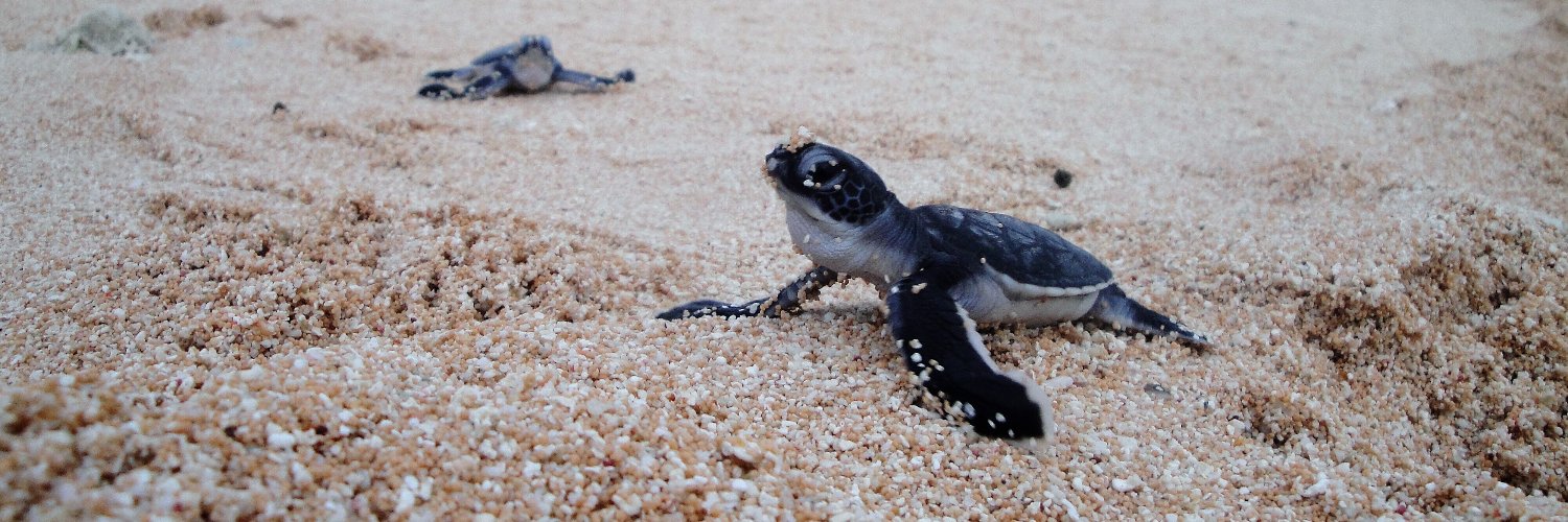 Natalie Wildermann, PhD banner