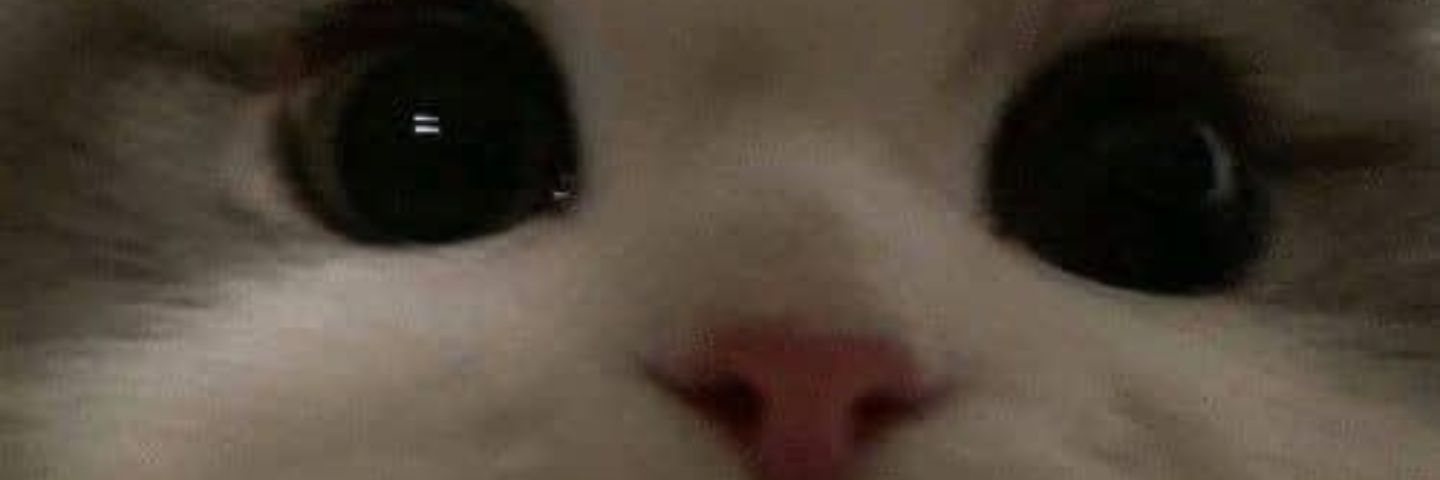 _nianinaz's profile banner image