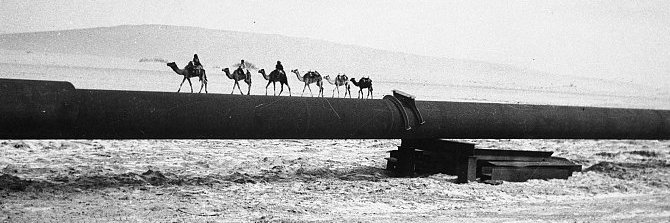 بشير الهزيمي banner