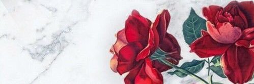 iRemmElbr's profile banner image