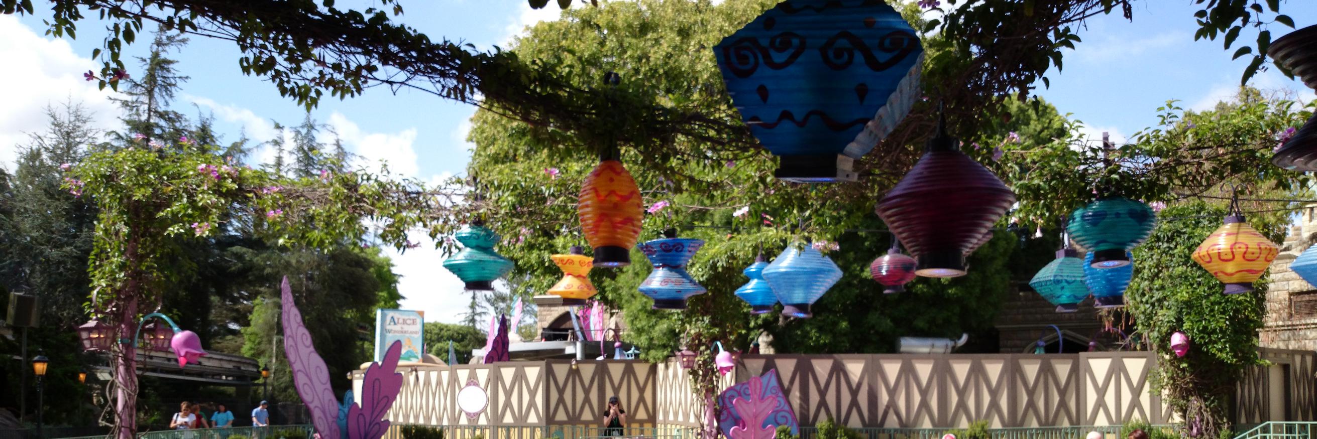 Cecilia Bustos banner