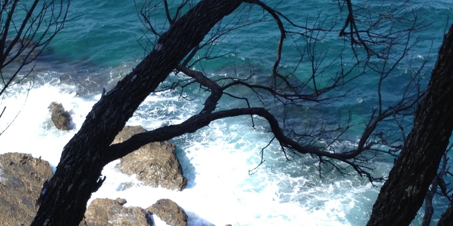 ViriSP2's profile banner image