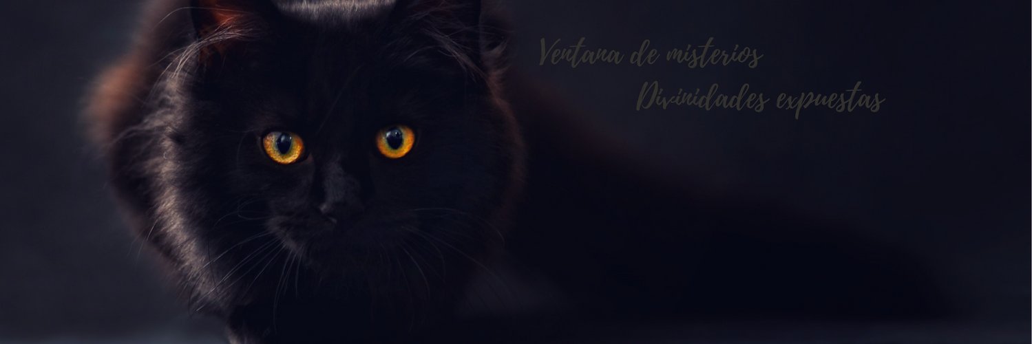 Garabato47's profile banner image