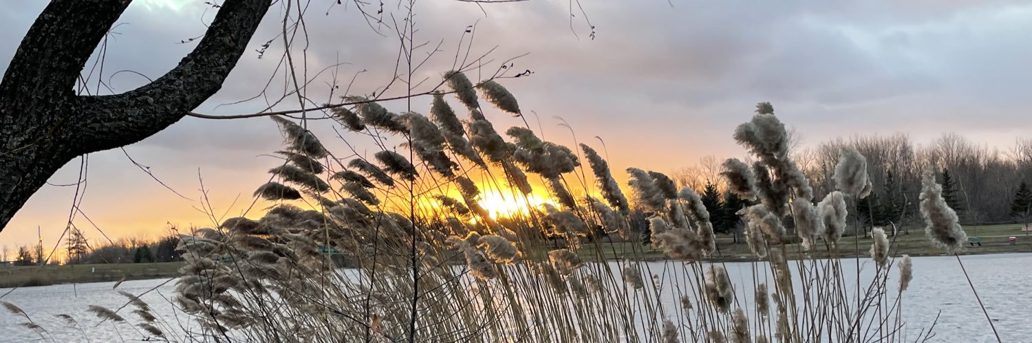 GILLES COLLIN banner