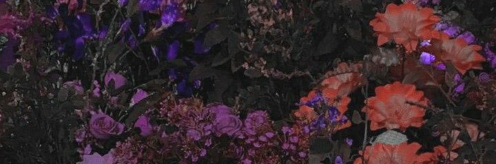 มป. banner