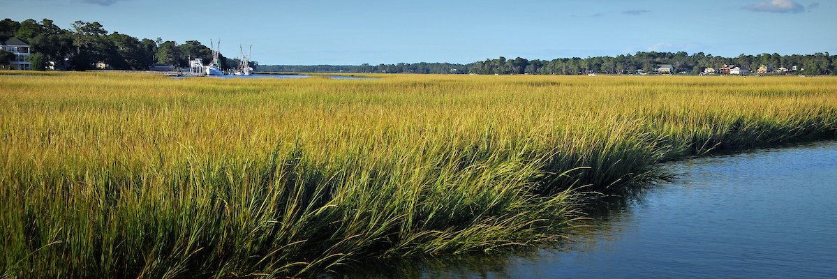 NC State Agricultural & Resource Economics banner