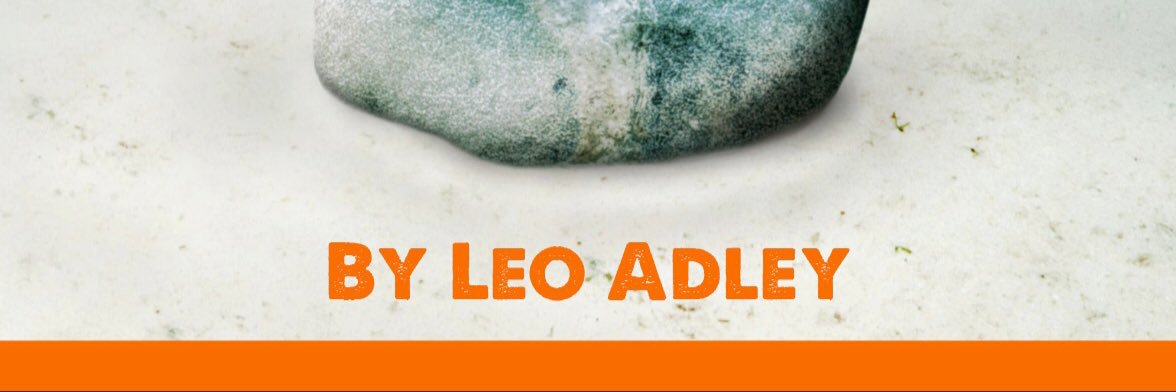 Leo Adley banner