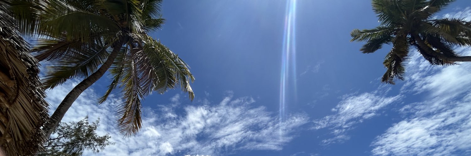 phoebe mooney banner