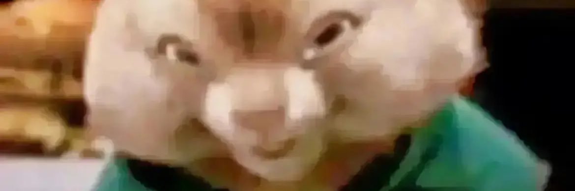 rabbid_rad's profile banner image