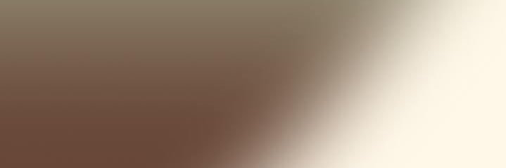 blomstjeg's profile banner image