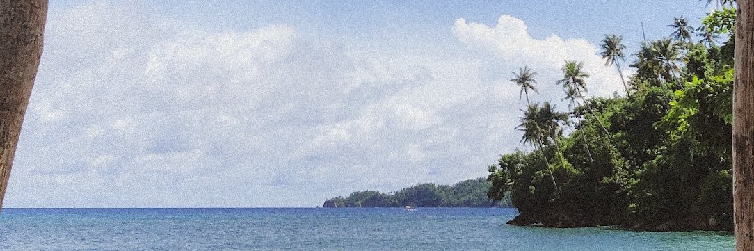 ThePatOng's profile banner image