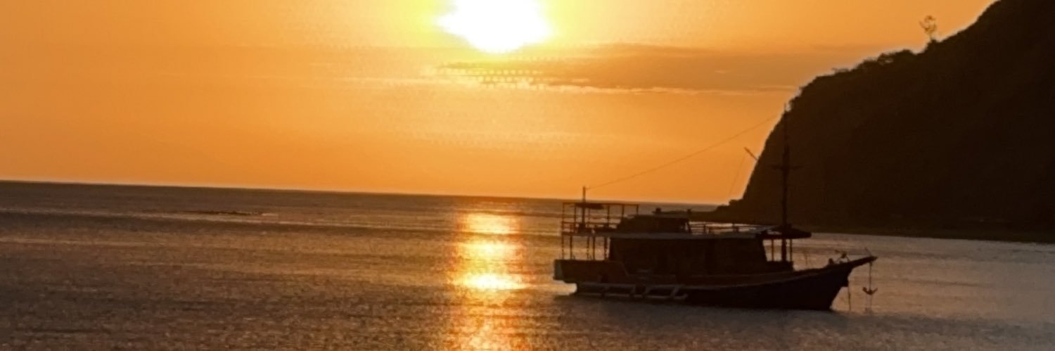 “sunny” banner
