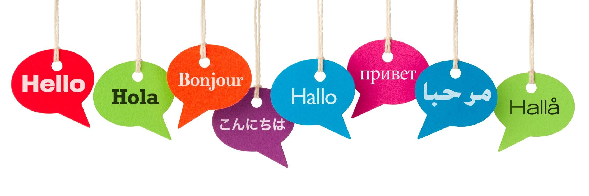 Steven Z. Ehrlich (It Costs Nothing to be Kind) banner